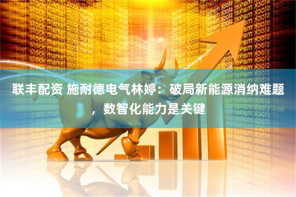 联丰配资 施耐德电气林婷：破局新能源消纳难题，数智化能力是关键
