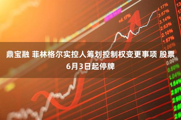 鼎宝融 菲林格尔实控人筹划控制权变更事项 股票6月3日起停牌