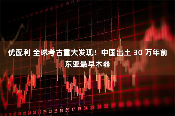 优配利 全球考古重大发现！中国出土 30 万年前东亚最早木器