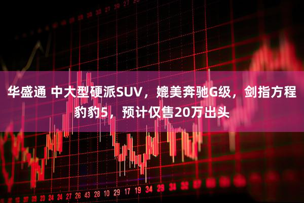 华盛通 中大型硬派SUV，媲美奔驰G级，剑指方程豹豹5，预计仅售20万出头