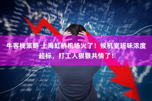 牛客栈策略 上海虹桥机场火了！候机室班味浓度超标，打工人狠狠共情了！