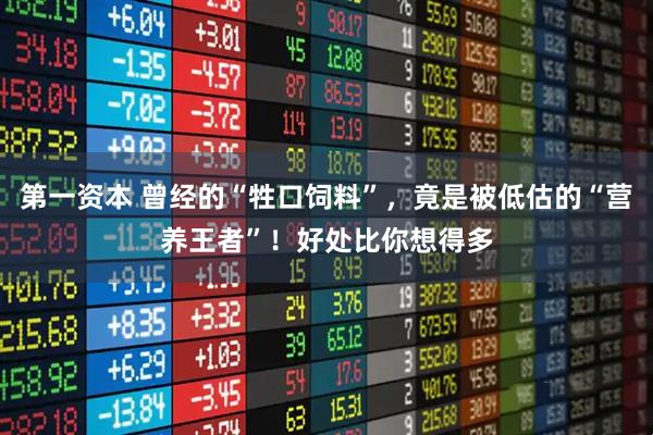 第一资本 曾经的“牲口饲料”，竟是被低估的“营养王者”！好处比你想得多