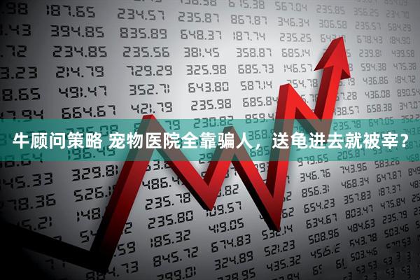 牛顾问策略 宠物医院全靠骗人，送龟进去就被宰？