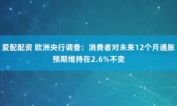 爱配配资 欧洲央行调查：消费者对未来12个月通胀预期维持在2.6%不变